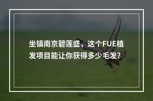 坐镇南京碧莲盛，这个FUE植发项目能让你获得多少毛发？