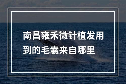 南昌雍禾微针植发用到的毛囊来自哪里