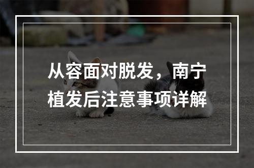 从容面对脱发，南宁植发后注意事项详解