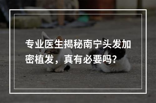 专业医生揭秘南宁头发加密植发，真有必要吗？