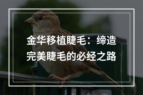 金华移植睫毛：缔造完美睫毛的必经之路