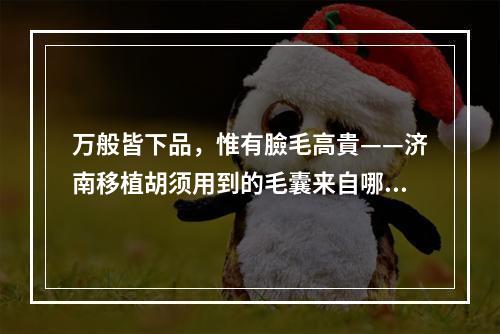 万般皆下品，惟有臉毛高貴——济南移植胡须用到的毛囊来自哪里