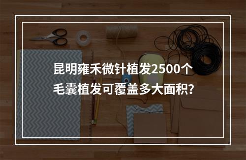 昆明雍禾微针植发2500个毛囊植发可覆盖多大面积？