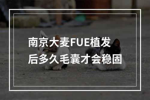 南京大麦FUE植发后多久毛囊才会稳固