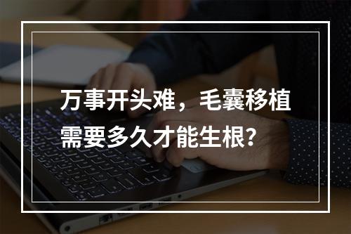 万事开头难，毛囊移植需要多久才能生根？