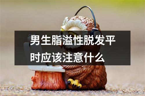 男生脂溢性脱发平时应该注意什么