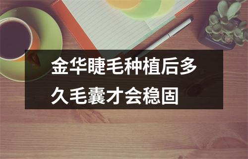 金华睫毛种植后多久毛囊才会稳固