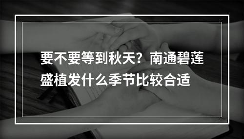 要不要等到秋天？南通碧莲盛植发什么季节比较合适