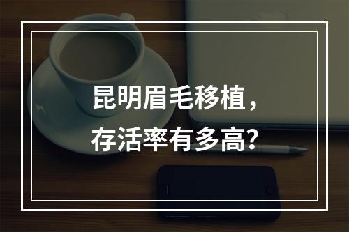 昆明眉毛移植，存活率有多高？