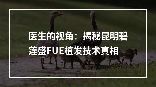 医生的视角：揭秘昆明碧莲盛FUE植发技术真相