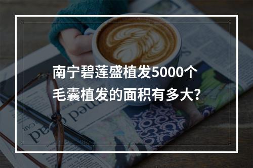 南宁碧莲盛植发5000个毛囊植发的面积有多大？