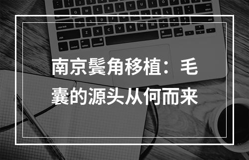 南京鬓角移植：毛囊的源头从何而来