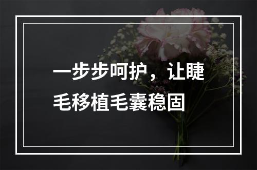 一步步呵护，让睫毛移植毛囊稳固