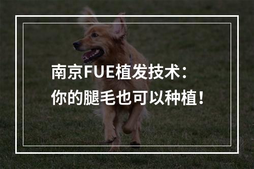 南京FUE植发技术：你的腿毛也可以种植！