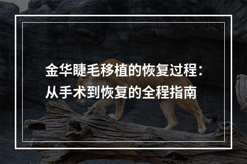 金华睫毛移植的恢复过程：从手术到恢复的全程指南