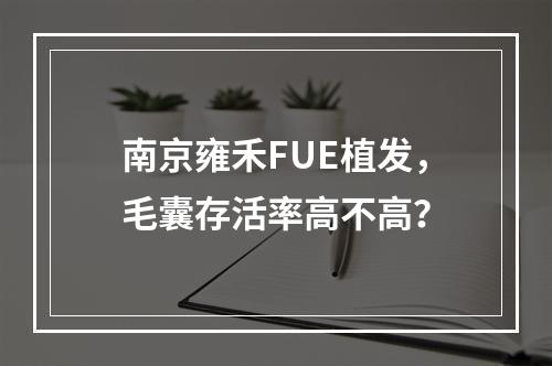 南京雍禾FUE植发，毛囊存活率高不高？