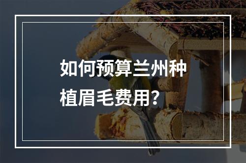 如何预算兰州种植眉毛费用？