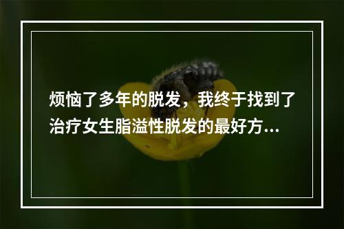 烦恼了多年的脱发，我终于找到了治疗女生脂溢性脱发的最好方法