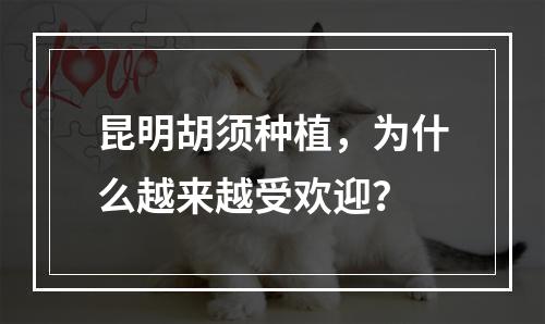 昆明胡须种植，为什么越来越受欢迎？