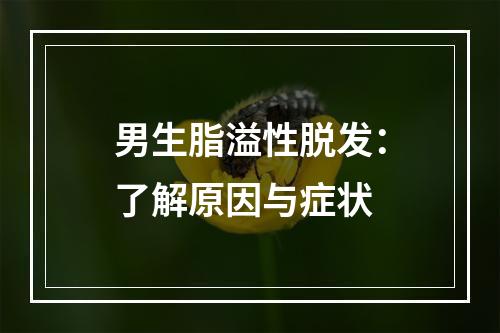 男生脂溢性脱发：了解原因与症状