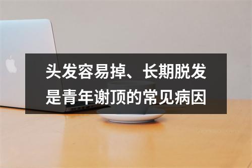 头发容易掉、长期脱发是青年谢顶的常见病因