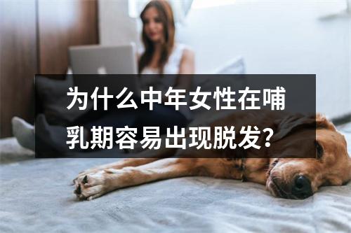 为什么中年女性在哺乳期容易出现脱发？