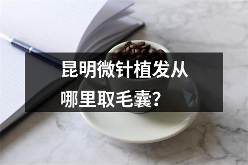 昆明微针植发从哪里取毛囊？