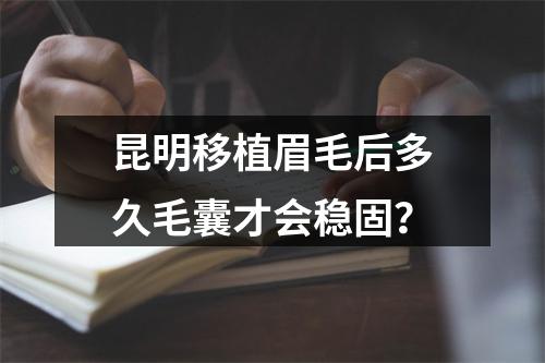 昆明移植眉毛后多久毛囊才会稳固？