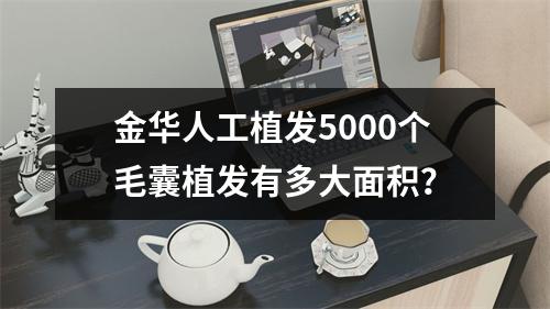 金华人工植发5000个毛囊植发有多大面积？