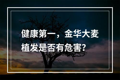 健康第一，金华大麦植发是否有危害？