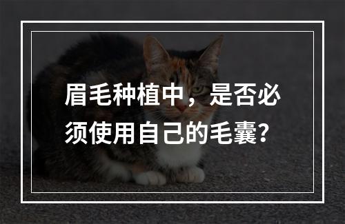 眉毛种植中，是否必须使用自己的毛囊？