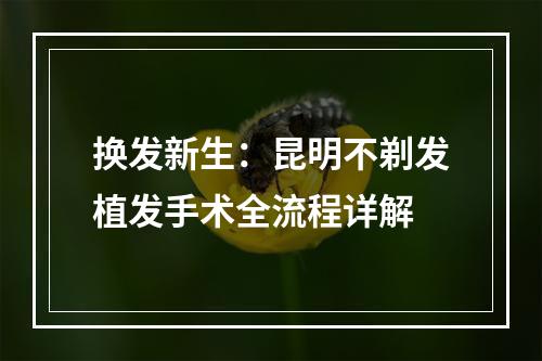 换发新生：昆明不剃发植发手术全流程详解