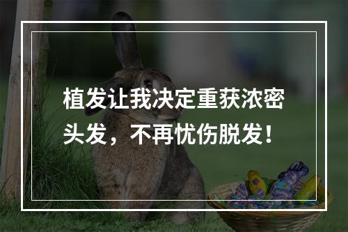 植发让我决定重获浓密头发，不再忧伤脱发！