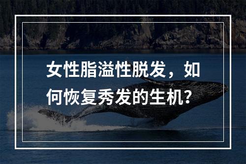 女性脂溢性脱发，如何恢复秀发的生机？