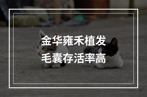 金华雍禾植发毛囊存活率高