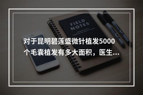 对于昆明碧莲盛微针植发5000个毛囊植发有多大面积，医生的看法是什么？