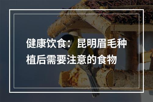 健康饮食：昆明眉毛种植后需要注意的食物