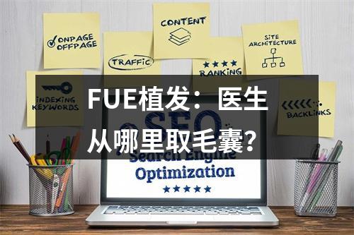 FUE植发：医生从哪里取毛囊？