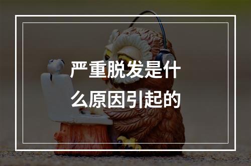 严重脱发是什么原因引起的