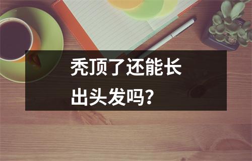 秃顶了还能长出头发吗？