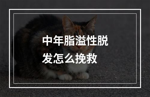 中年脂溢性脱发怎么挽救