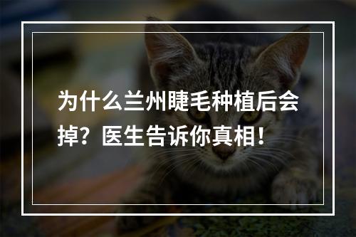 为什么兰州睫毛种植后会掉？医生告诉你真相！