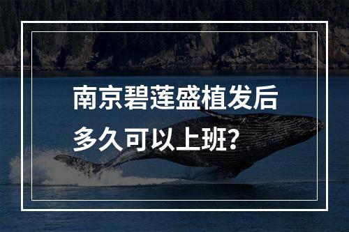 南京碧莲盛植发后多久可以上班？