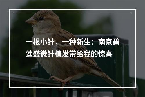 一根小针，一种新生：南京碧莲盛微针植发带给我的惊喜