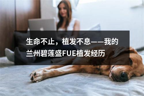 生命不止，植发不息——我的兰州碧莲盛FUE植发经历