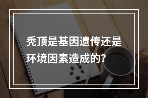 秃顶是基因遗传还是环境因素造成的？