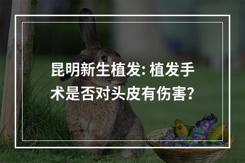 昆明新生植发: 植发手术是否对头皮有伤害？