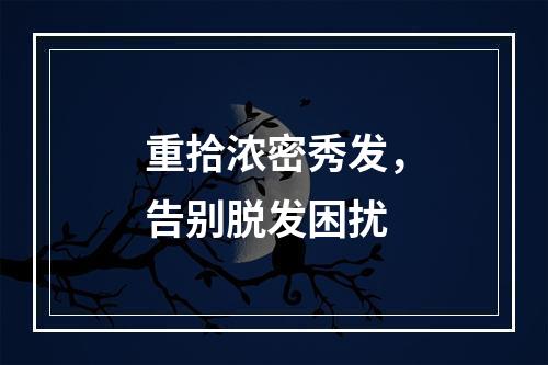 重拾浓密秀发，告别脱发困扰