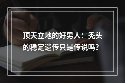 顶天立地的好男人：秃头的稳定遗传只是传说吗？