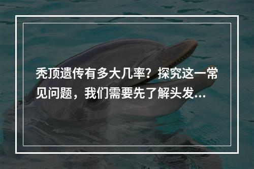 秃顶遗传有多大几率？探究这一常见问题，我们需要先了解头发的生长过程。